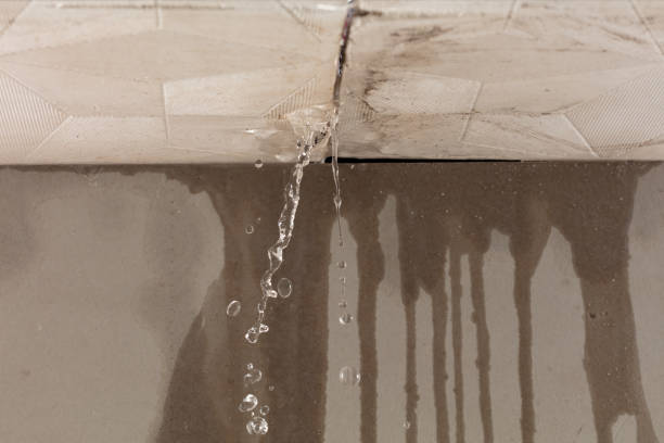 Professional Water Damage Inspection technician working in Athens, GA